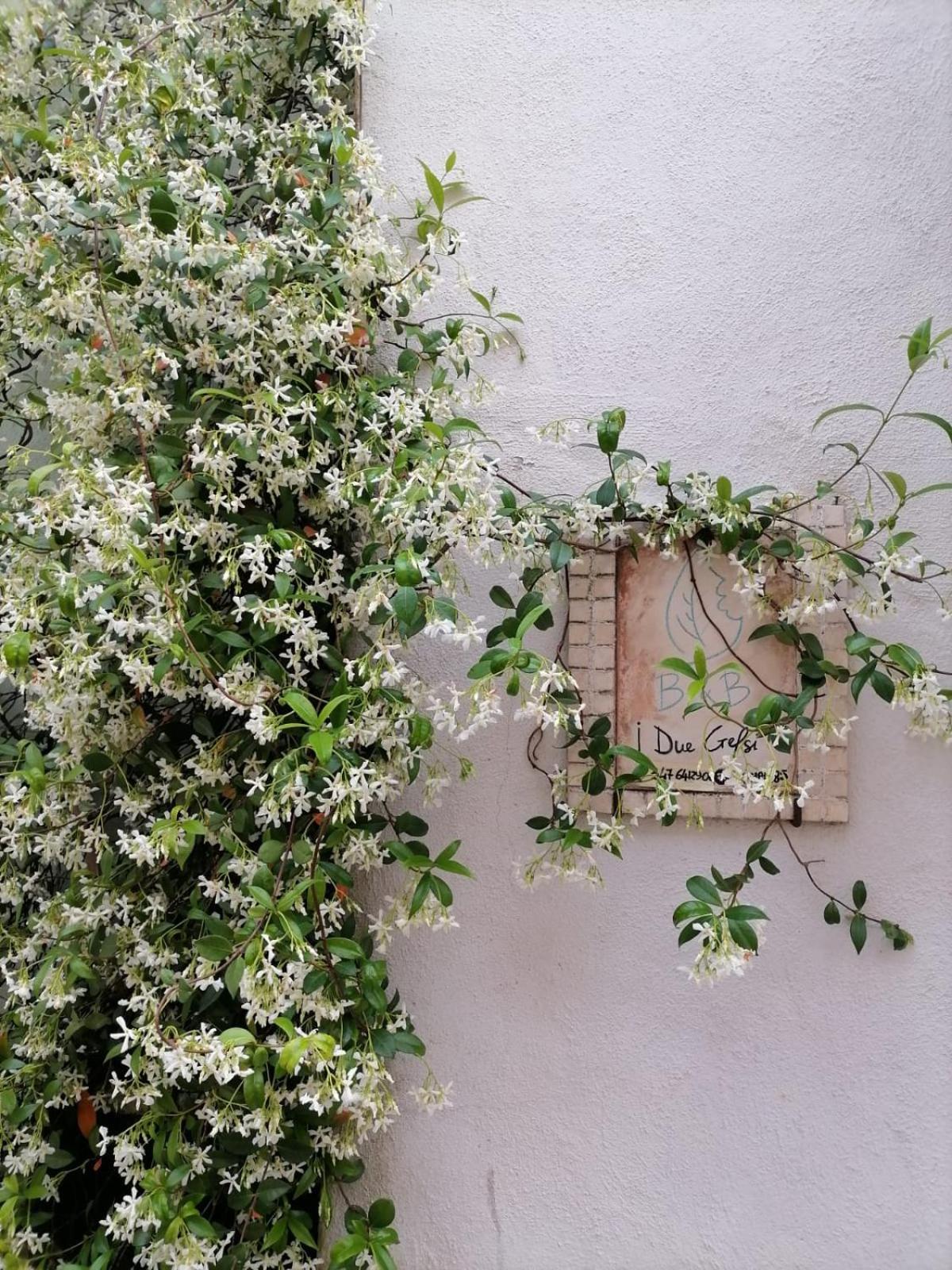 B&B I Due Gelsi Monte Libretti Exterior photo